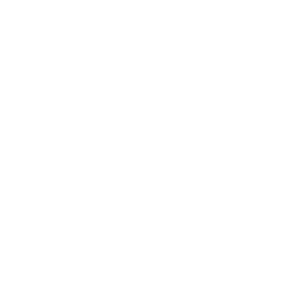 Haldex Anand