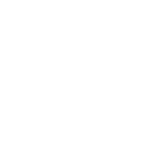 Vedic Village